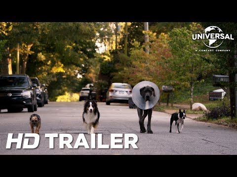 Strays | Official Trailer | Thai Sub | UIP Thailand