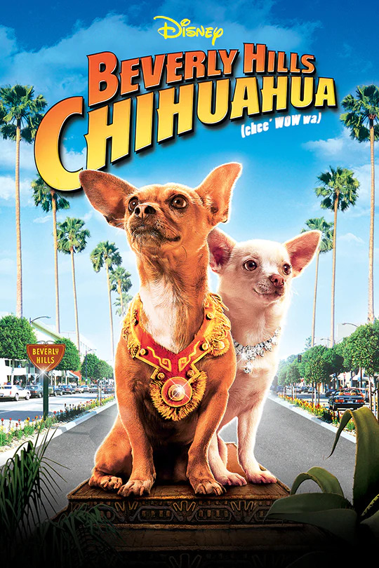 beverlyhills chihuahua หนังน้องหมา