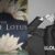 ลลิษา มโนบาล (LISA) จะร่วมแสดงใน The White Lotus ซีซั่น 3 ออริจินัลซีรีส์ของ HBO