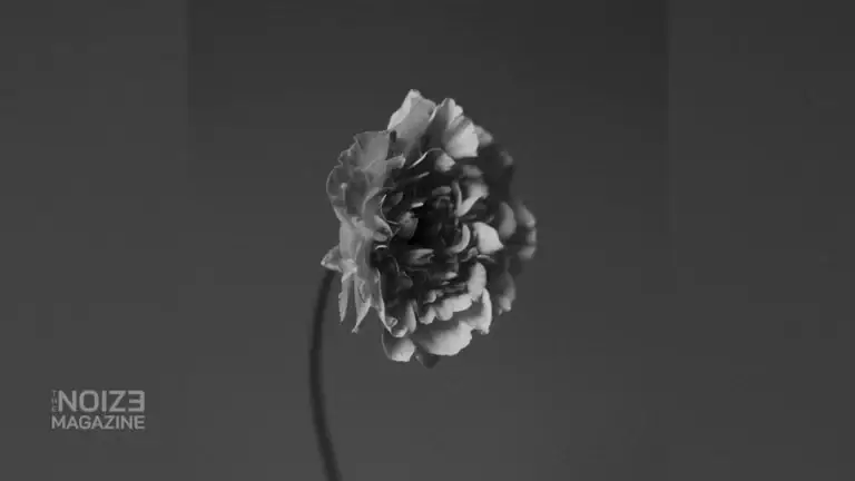 Nao Yoshioka - You Got to Feel It - Bnnyhunna - Braxton Cook